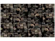 FOR WALL fototapetai 2913VE XXXL
