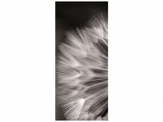 FOR WALL fototapetai 0292VET