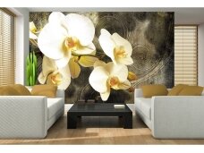 FOR WALL fototapetai 2948VE XXL