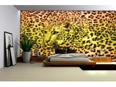 FOR WALL fototapetai 0296VE XXXL