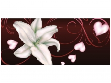 FOR WALL fototapetai 0298VEP
