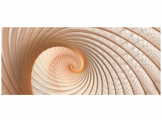 FOR WALL fototapetai 0308VEP