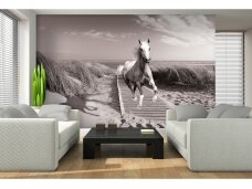 FOR WALL fototapetai 3136VE XXL