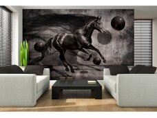 FOR WALL fototapetai 3137VE XXL