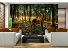 FOR WALL fototapetai 3194VE XXXL FOR WALL fototapetai 3194VE XXXL