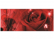 FOR WALL fototapetai 0339VEP