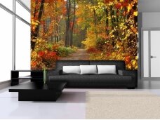FOR WALL fototapetai 04-002VE XL FOR WALL fototapetai 04-002VE XL
