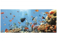 FOR WALL fototapetai 04-005VEP