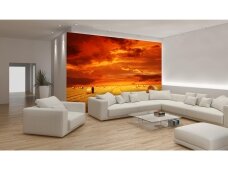FOR WALL fototapetai 0414VE XXL FOR WALL fototapetai 0414VE XXL