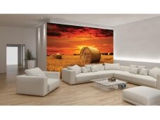 FOR WALL fototapetai 0415VE XL FOR WALL fototapetai 0415VE XL