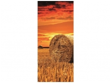 FOR WALL fototapetai 0415VET