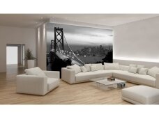 FOR WALL fototapetai 0419VE XXXL