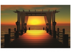 FOR WALL fototapetai 0420VE XXXL