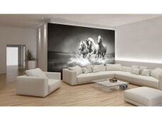 FOR WALL fototapetai 0426VE XL FOR WALL fototapetai 0426VE XL