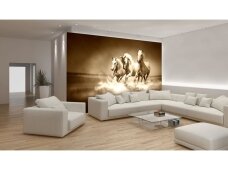 FOR WALL fototapetai 0427VE L FOR WALL fototapetai 0427VE L