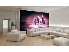 FOR WALL fototapetai 0429VE XXXL