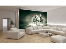 FOR WALL fototapetai 0430VE L FOR WALL fototapetai 0430VE L
