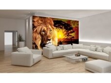 FOR WALL fototapetai 0433VE XL FOR WALL fototapetai 0433VE XL