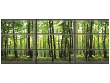 FOR WALL fototapetai 0443VEE