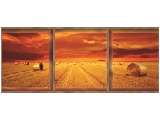 FOR WALL fototapetai 0445VEE