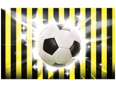 FOR WALL fototapetai 0474VE XXXL