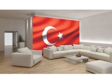 FOR WALL fototapetai 0489VE L FOR WALL fototapetai 0489VE L