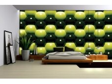 FOR WALL fototapetai 0503VE XXXL