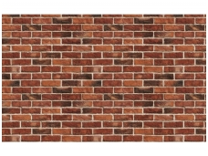 FOR WALL fototapetai 0519VE XXL