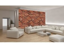 FOR WALL fototapetai 0519VE XXL