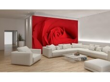 FOR WALL fototapetai 0560VE XL