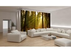 FOR WALL fototapetai 0576VE XL FOR WALL fototapetai 0576VE XL
