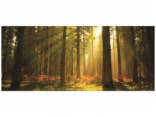 FOR WALL fototapetai 0576VEP
