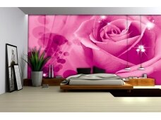 FOR WALL fototapetai 0579VE XXXL