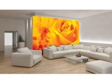 FOR WALL fototapetai 0580VE XL
