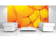 FOR WALL fototapetai 0583VE XL