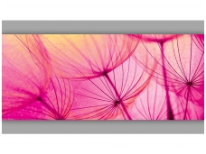 FOR WALL fototapetai 0584VEP