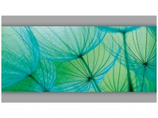 FOR WALL fototapetai 0585VEP