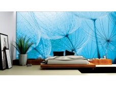 FOR WALL fototapetai 0586VE XXXL