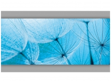 FOR WALL fototapetai 0586VEP