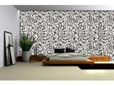 FOR WALL fototapetai 0639VE L FOR WALL fototapetai 0639VE L