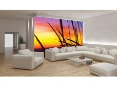 FOR WALL fototapetai 0650VE XL FOR WALL fototapetai 0650VE XL