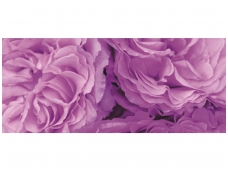 FOR WALL fototapetai 0657VEP