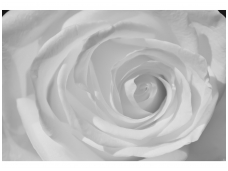FOR WALL fototapetai 0659VE XXXL
