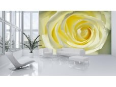 FOR WALL fototapetai 0660VE XL