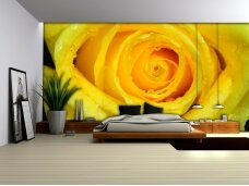 FOR WALL fototapetai 0661VE XL
