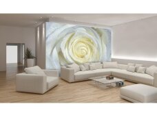 FOR WALL fototapetai 0663VE XXXL