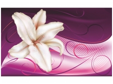 FOR WALL fototapetai 0699VE XXXL