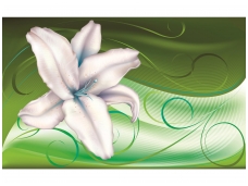 FOR WALL fototapetai 0701VE XXXL