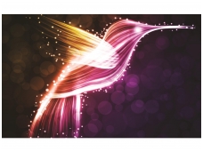 FOR WALL fototapetai 0767VE P8