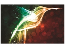 FOR WALL fototapetai 0768VE XXXL